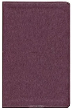 ESV VALUE THINLINE BURGUNDY Koop Vandaag