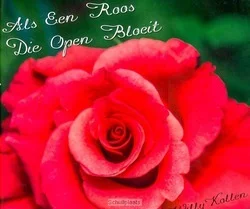 Weekendaanbieding ALS EEN ROOS DIE OPEN BLOEIT