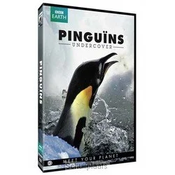 Beperkte Voorraad DVD PINGUINS UNDERCOVER (EO)