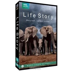Beste Prijs DVD LIFE STORY EO-VERSIE