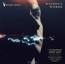 Beste Prijs WITHOUT WORDS 3CD BOX
