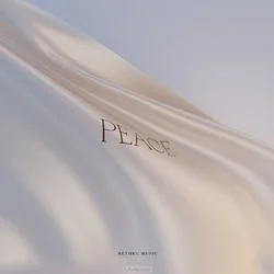 PEACE Alleen Vandaag