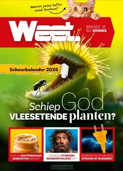 Gratis Verzending WEET SCHEURKALENDER 2026