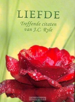 Weekendaanbieding PARELTJE LIEFDE