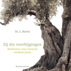 Rechtstreeks Van De Fabrikant ZIJ DIE VOORBIJGINGEN