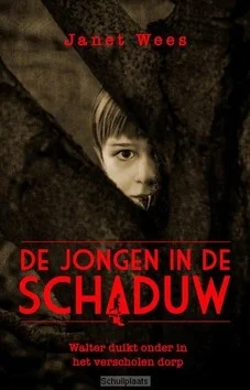 DE JONGEN IN DE SCHADUW Uitverkoop