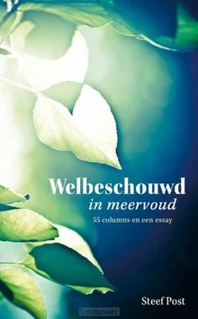 Koop Online WELBESCHOUWD IN MEERVOUD
