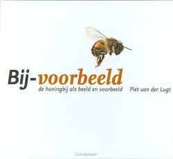 BIJ-VOORBEELD Rechtstreeks Van De Fabrikant
