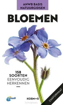 BLOEMEN Betaalbaar