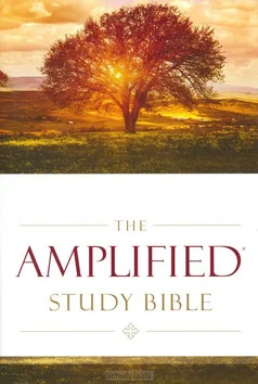 Finale Uitverkoop AMPLIFIED STUDY BIBLE COLOUR HARDCOVER