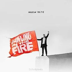 DANCING IN THE FIRE Beste Prijs