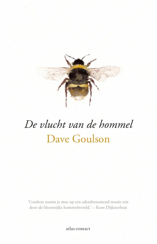 De vlucht van de hommel Betrouwbaar