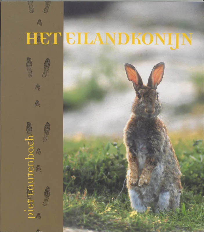 Hete Deal Het Eilandkonijn