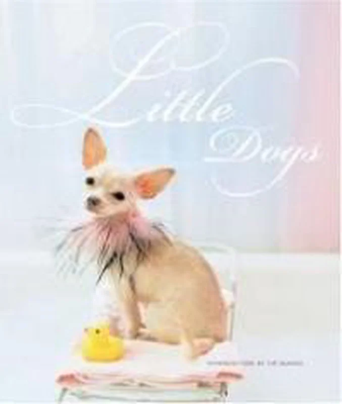 Bestseller Little Dogs