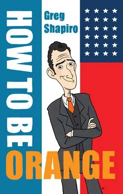 Direct Beschikbaar How to be orange