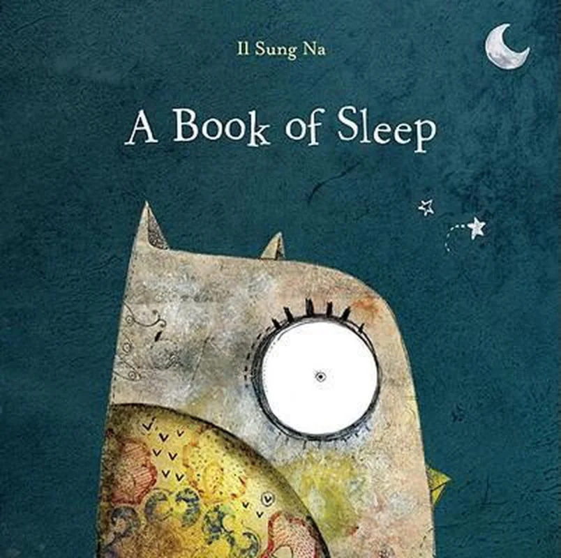 Express Levering A Book of Sleep
