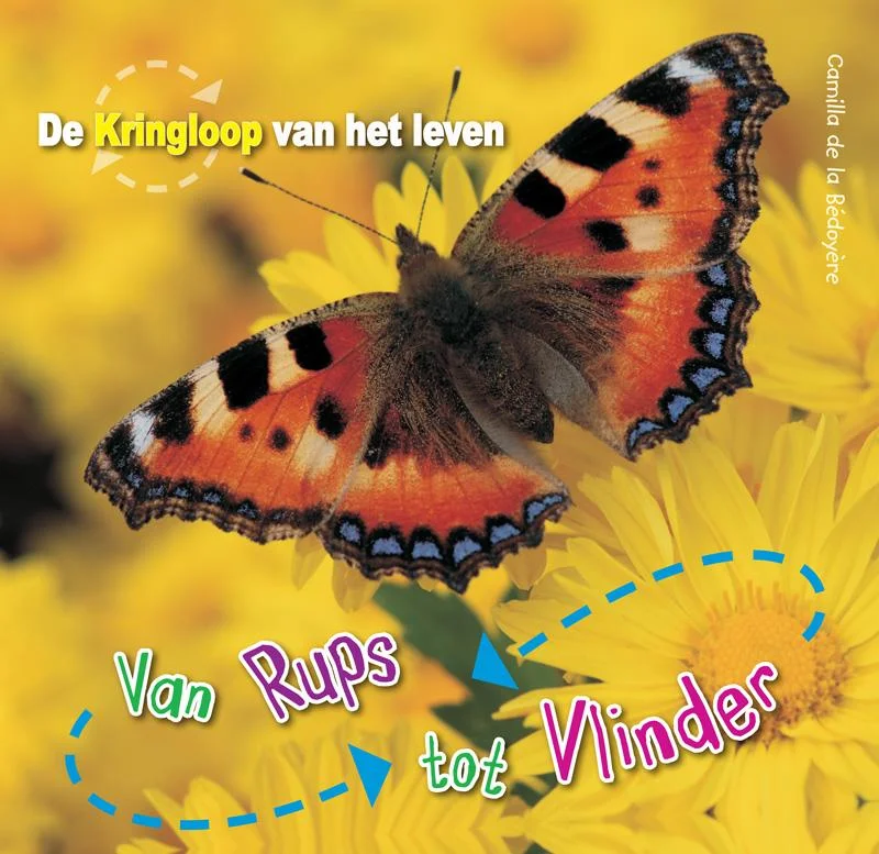 Gecertificeerd De Kringloop van het Leven - Van Rups tot vlinder