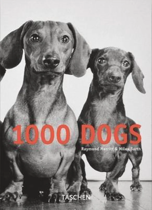 Betaalbaar 1000 Dogs