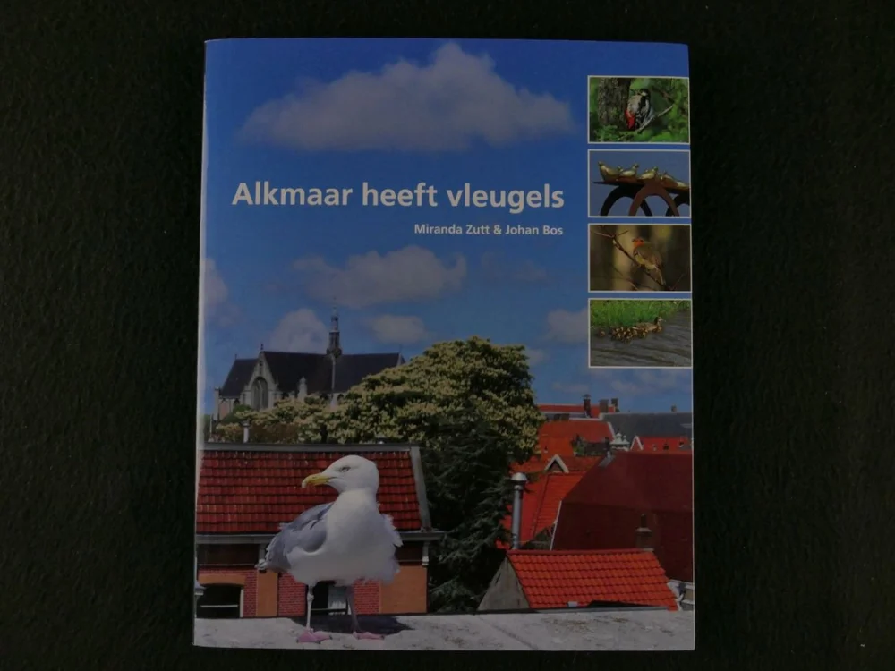 Shop Nu Alkmaar heeft vleugels