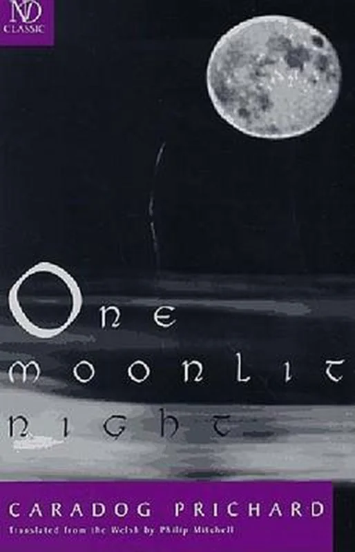 Direct Verzonden One Moonlit Night