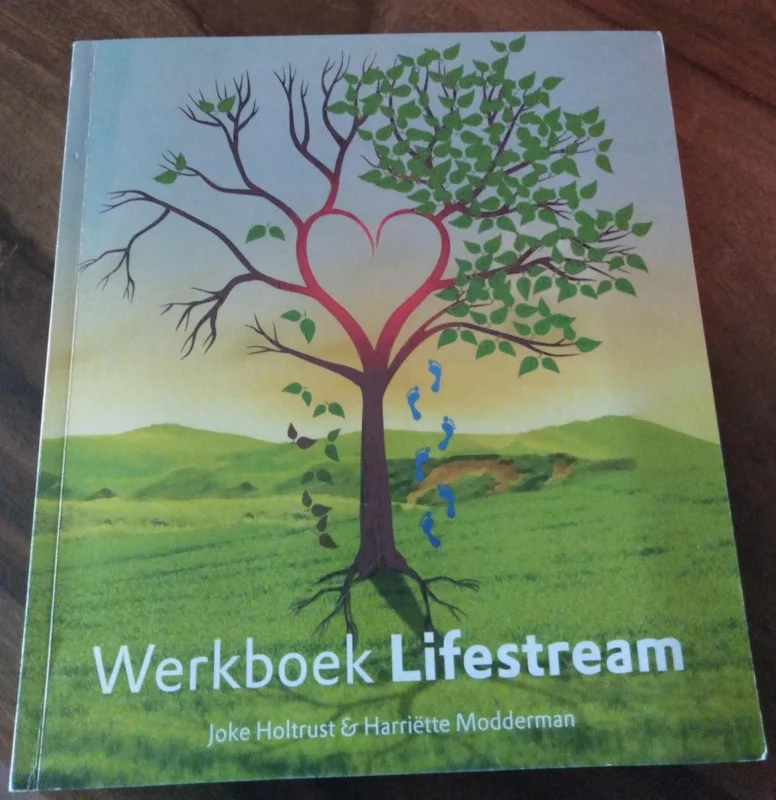 Merkproduct Werkboek Lifestream