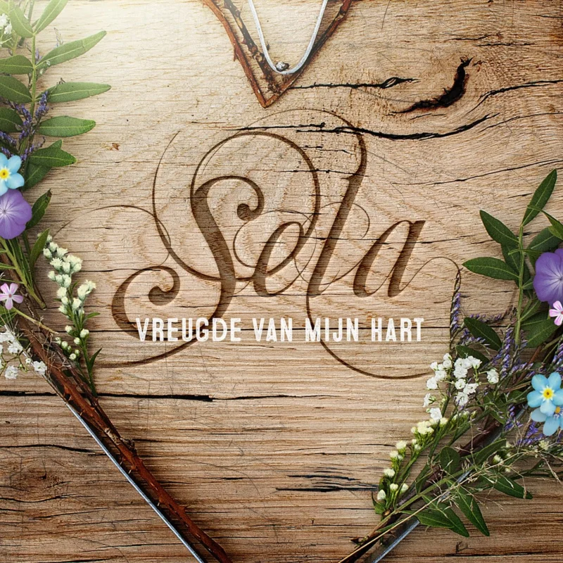 Actieprijs Sela - Vreugde Van Mijn Hart (CD)