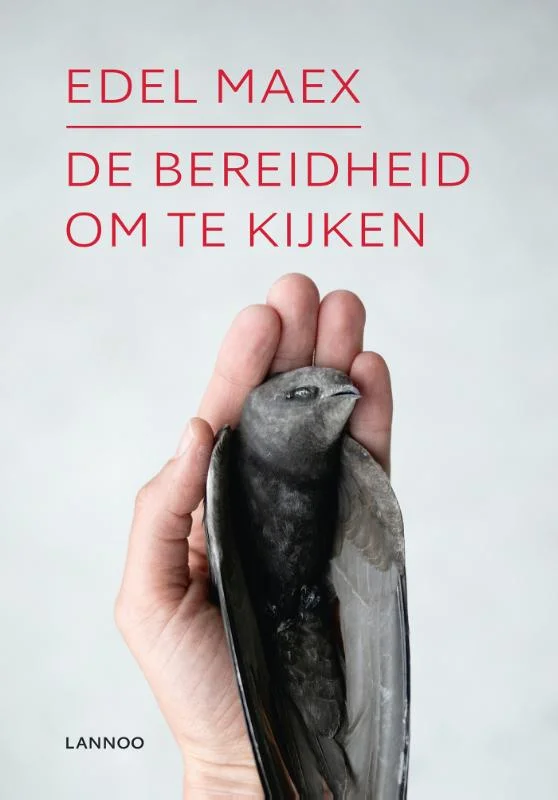 Actieprijs De bereidheid om te kijken