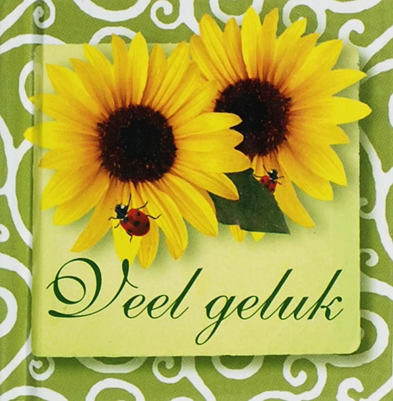 Superprijs 4You Mini Veel Geluk / 4 You
