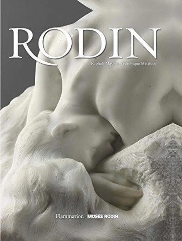 Flitsaanbieding Rodin