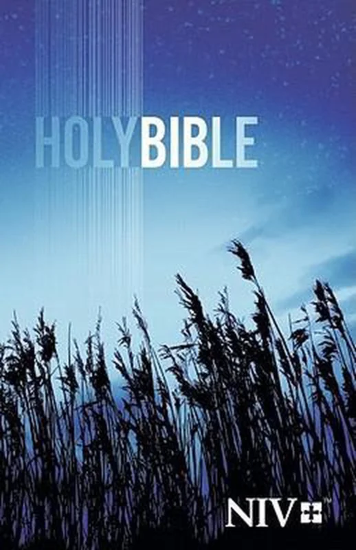 Hoge Kwaliteit NIV outreach bible