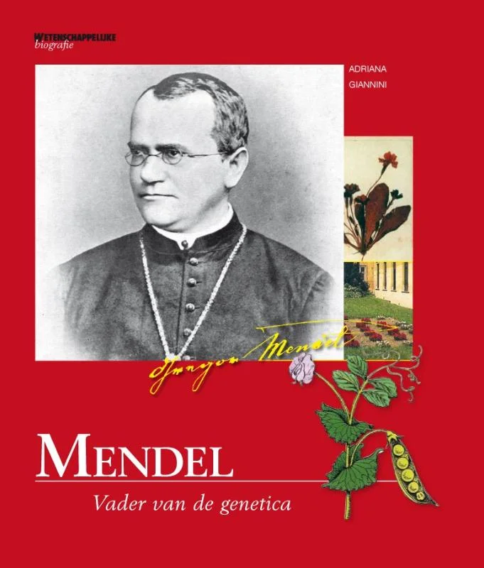 Mendel Koop Vandaag