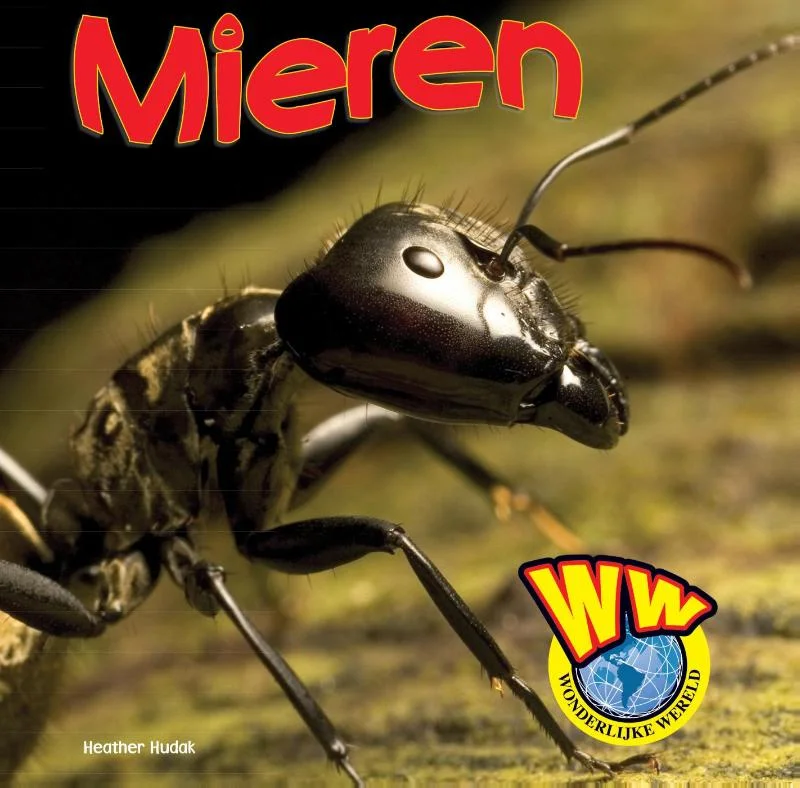 Laatste Kans Mieren / Wonderlijke wereld