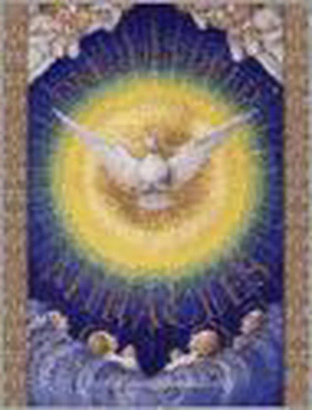 Weekendaanbieding One Hundred Miracles
