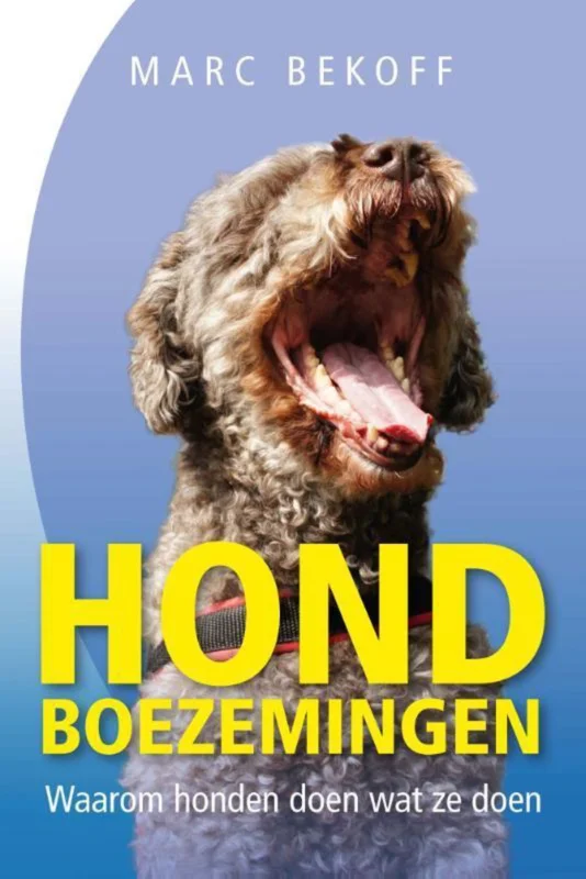 Lage Kosten Hondboezemingen