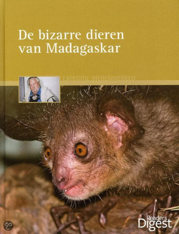 De Bizarre Dieren Van Madagaskar Gereduceerde Prijs