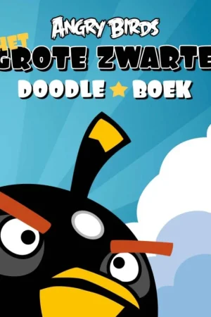 Alleen Vandaag Het grote zwarte doodleboek