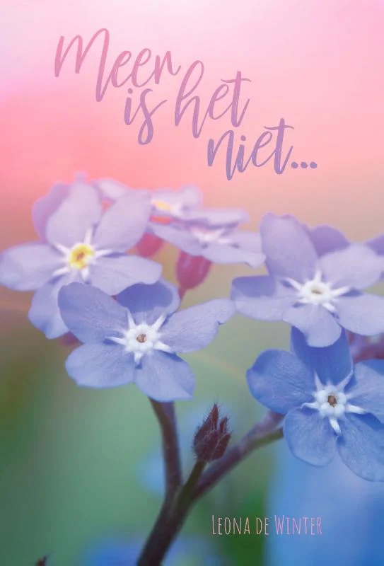 Finale Uitverkoop Meer is het niet...