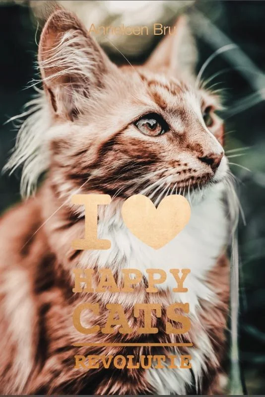 I ♥ happy cats Beste Prijs