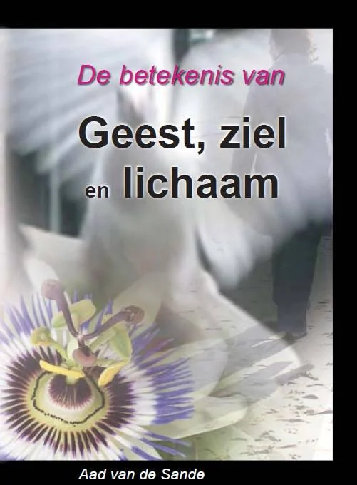 Koop Vandaag De betekenis van geest, ziel en lichaam / Pastorale cursus