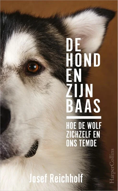 Hoge Kwaliteit De hond en zijn baas