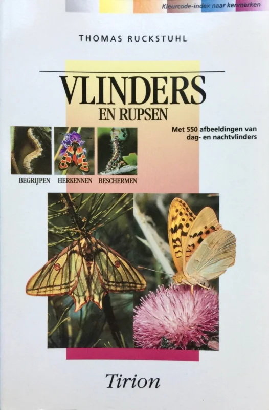 VLINDERS EN RUPSEN Koop Vandaag