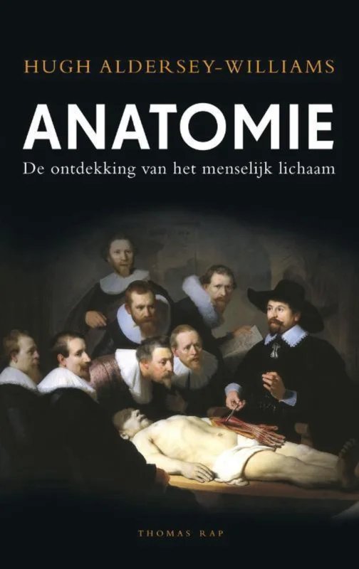 Rechtstreeks Van De Fabrikant Anatomie