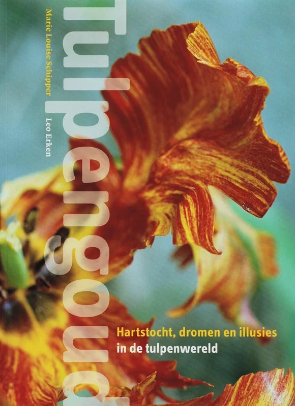 Koop Vandaag TULPENGOUD