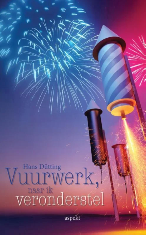 Vuurwerk, naar ik veronderstel Snelle Levering