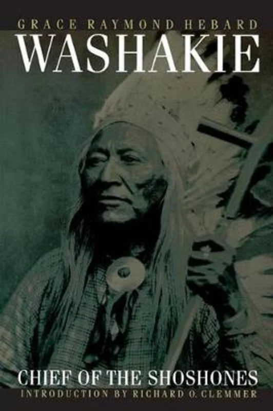 Gereduceerde Prijs Washakie, Chief of the Shoshones