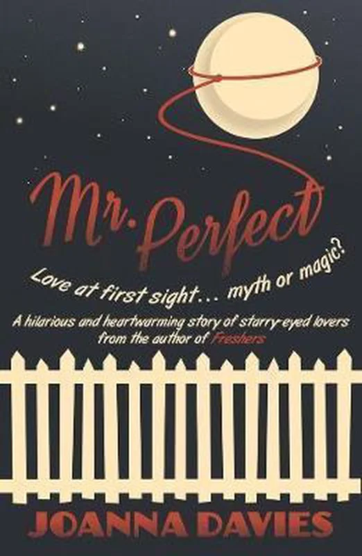 Mr Perfect Bestseller