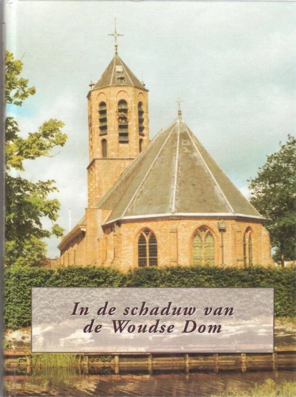 In de schaduw van de Woudse Dom Actieprijs