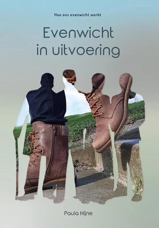 Snelle Levering Evenwicht in uitvoering