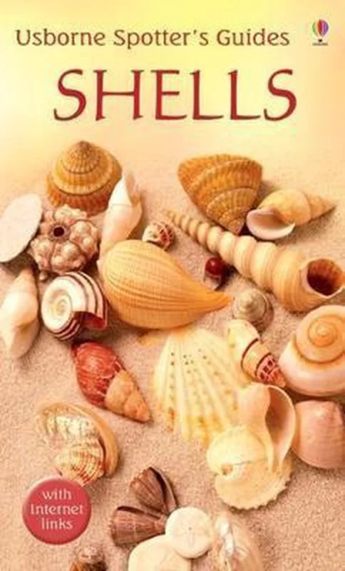 Rechtstreeks Van De Fabrikant Shells