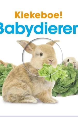 Babydieren / Kiekeboe Koop Vandaag